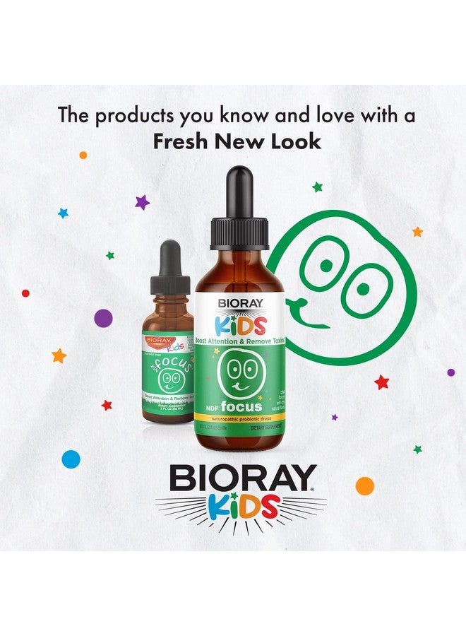 BIORAY Kids NDF Focus, Citrus - 2 fl oz - Supports Cognitive Function, Enhances Clarity & Promotes Steady Energy Levels - Non-GMO, Vegetarian, Gluten Free - 1-2 Month Supply - Image 2