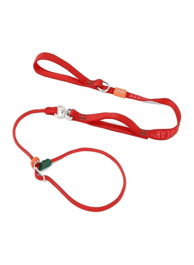 HowGo Slip Lead Dog Leash with Padded Handles | Lightweight Dog Training Leash with 360°Swivel Anti-Tangle | Heavy-Duty Lead and Collar for Large Medium and Small, No-Pull Walking (Red, 5.5FT) - Image 1