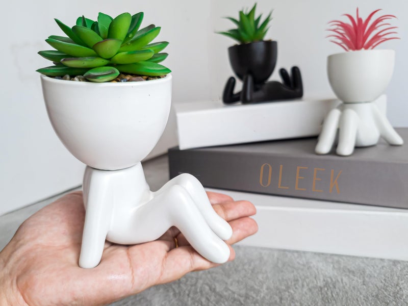 OLEEK Small fake plants for shelf decor - Pink gift - Cute office decor for women - Office decorations for work desk women - Desk decorations for women office - Classroom Succulent - Artificial shrubs - Image 5