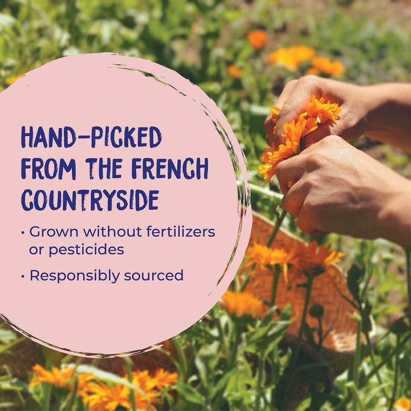 Boiron Calendula Cream for First Aid, Minor Burns, Cuts, Scrapes, Insect Bits and Sunburn - 2.5 oz - Image 5