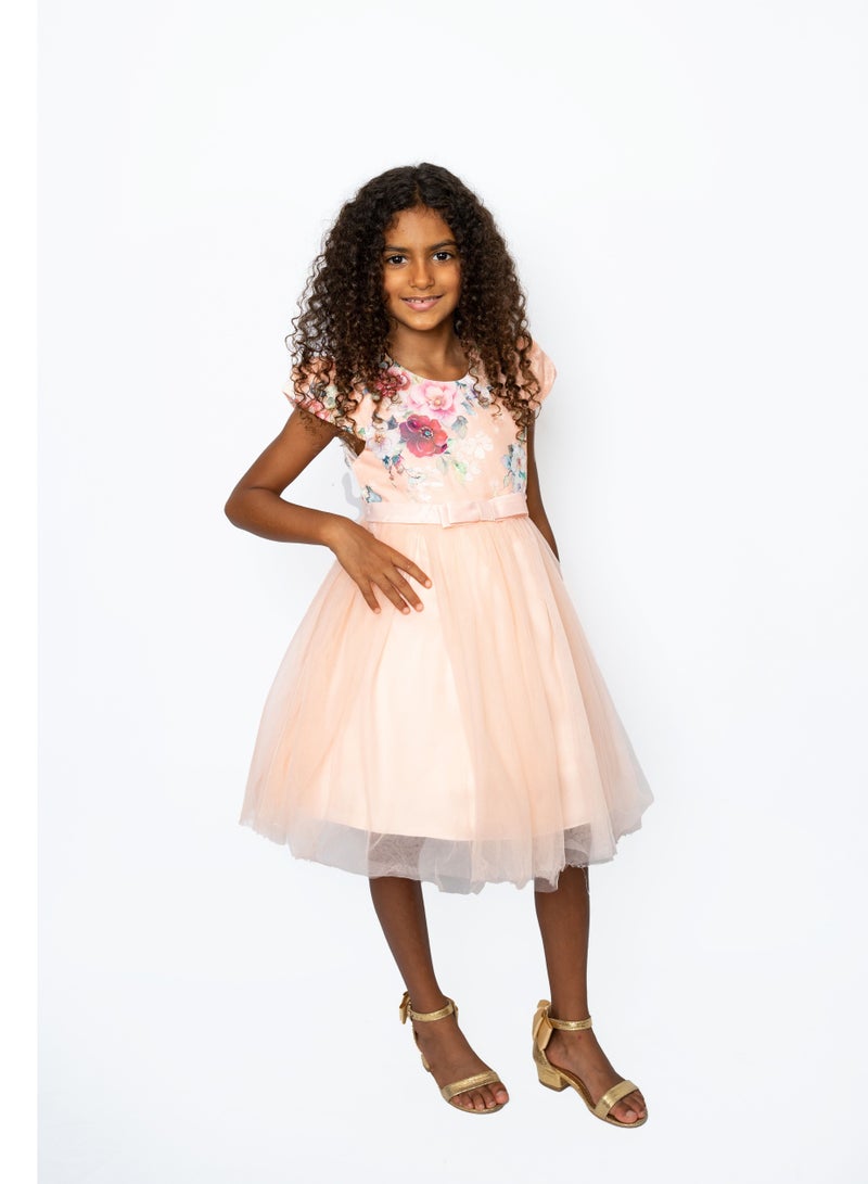 D'Daniela Flower Embroidery Tutu Dress Pink - Image 3
