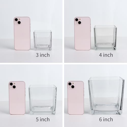 Comrzor Set of 6 Square Glass Vases 4" x 4" x 4", Clear Flower Vase, Plant Terrarium, Candle Holder for Wedding Centerpiece, Office Decorations, Home Décor, Parties and Events - Image 3