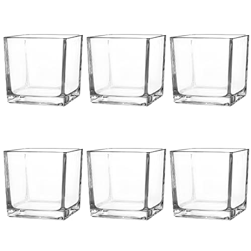 Comrzor Set of 6 Square Glass Vases 4" x 4" x 4", Clear Flower Vase, Plant Terrarium, Candle Holder for Wedding Centerpiece, Office Decorations, Home Décor, Parties and Events - Image 1