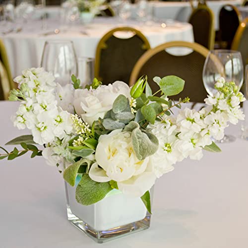 Comrzor Set of 6 Square Glass Vases 4" x 4" x 4", Clear Flower Vase, Plant Terrarium, Candle Holder for Wedding Centerpiece, Office Decorations, Home Décor, Parties and Events - Image 5
