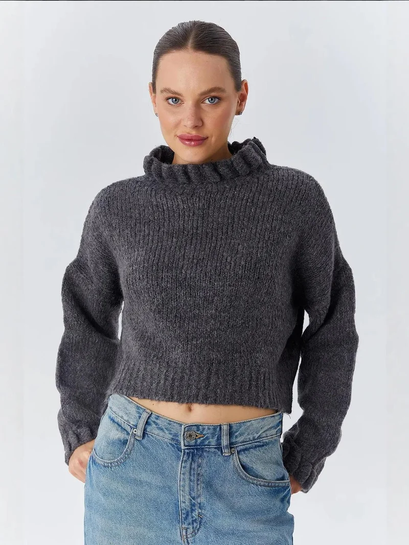 Mixray Dark Grey Mixray Thick Turtleneck Textured Crop Sweater for Women | Best Price UAE