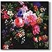 Importer AM مناديل غداء مزخرفة من AM Dcor عدد 20 3 طبقات ناعمة 13 × 13 غير مطوية ورود على المخمل - Image 1