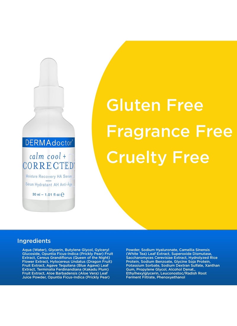 DERMAdoctor Calm & Cool Corrected Moisture Recovery Ha Serum 30 Ml  - Image 2