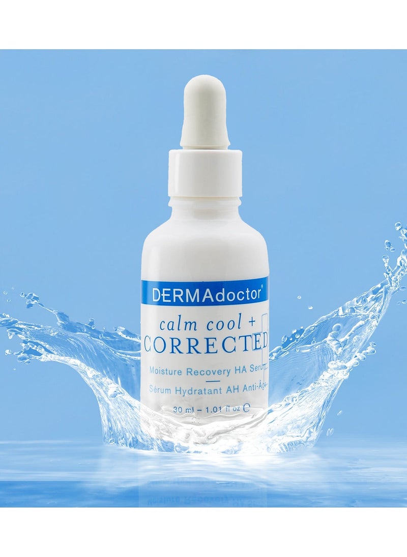 DERMAdoctor Calm & Cool Corrected Moisture Recovery Ha Serum 30 Ml  - Image 5