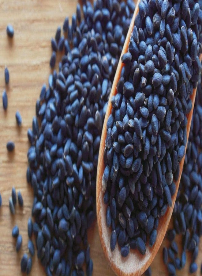 Pramix Premium Basil Seeds | Sabja Seeds | Takmariya, 400g - Image 2