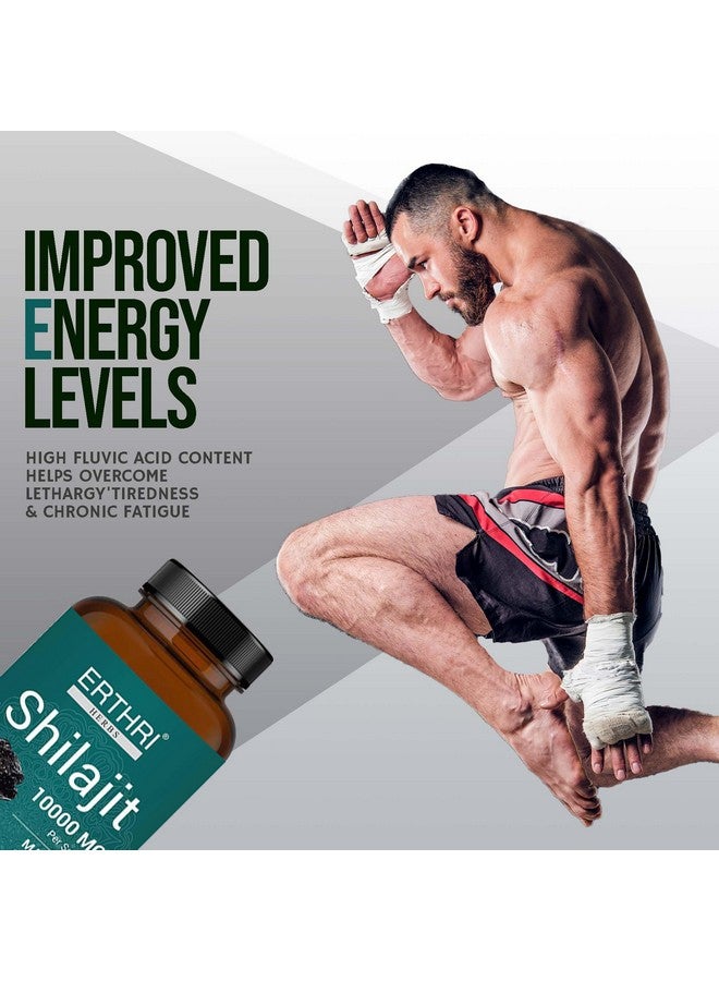 ERTHRI Shilajit Tablet - 10000mg, 90 tablets |100% Natural|| 100% Ayurvedic Tablet for Strength, Stamina and Power | Premium Ayurvedic Supplement | - Image 5