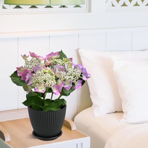 INKULTURE Plastic Round Flower Pots with Tray for Home Planters, Terrace, Garden Etc | Pack of 05 | Black | Size 6.5 Inch | for Home Indoor & Outdoor Gardening Plants - Image 3