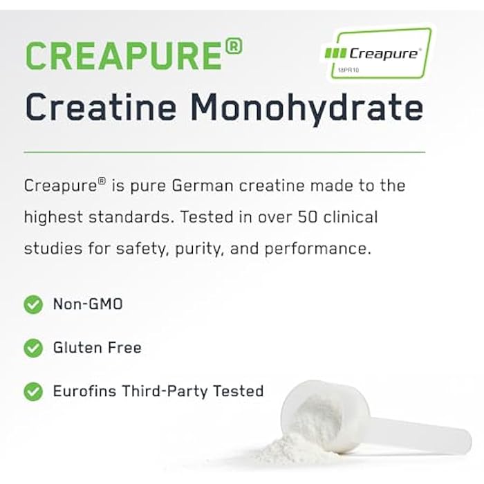 SteelFit Creapure Creatine Monohydrate Powder - German Micronized Creatine Powder for Men & Women - Gym Workout Nutritional Supplements for Muscle Gain, Brain Health & Strength Building, 30 Servings - Image 3