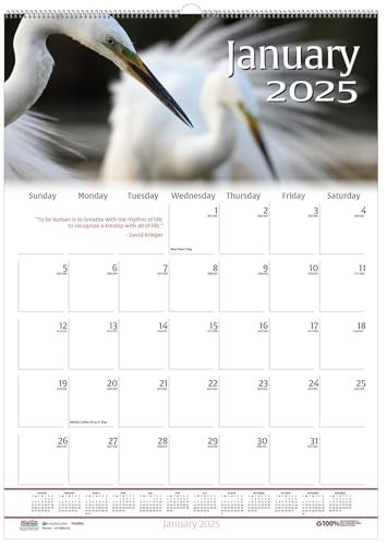 House of Doolittle 2025 Monthly Wall Calendar, Earthscapes Wildlife, 12 x 16.5 Inches, January - December (HOD3732-25) - Image 4