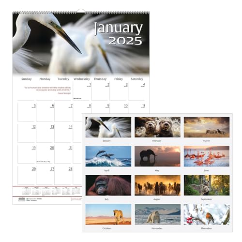 House of Doolittle 2025 Monthly Wall Calendar, Earthscapes Wildlife, 12 x 16.5 Inches, January - December (HOD3732-25) - Image 2