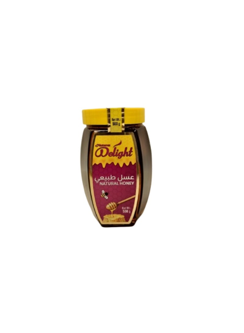 عسل نيتشرز ديلايت ٥٠٠ غرام - عسل زهور برية خام، غير مصفى، نقي، مُحلي طبيعي - Image 1