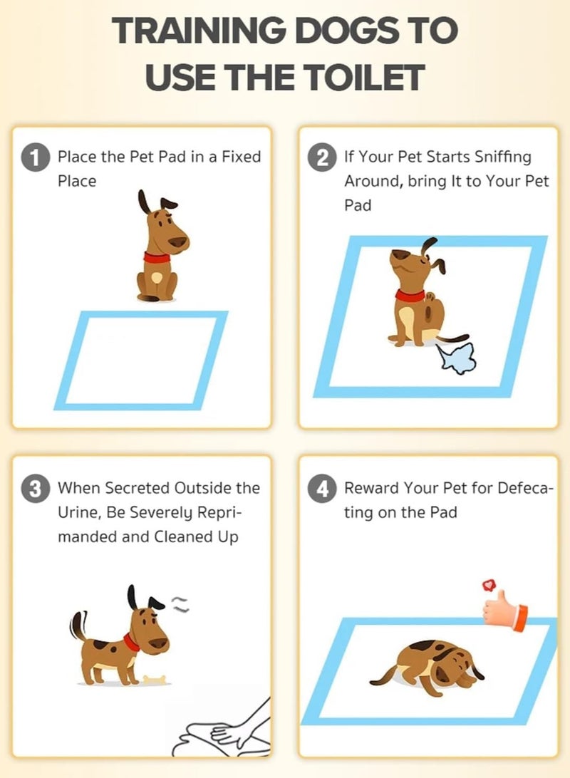 Potty Outside Places To Potty Train A Puppy Your Dog Pee Outside - Main Image