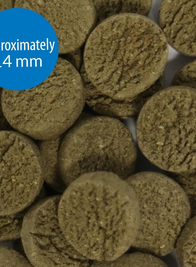 API أقراص طعام الأسماك آي بي آي آكل الطحالب 1.3 أونصة - Image 1