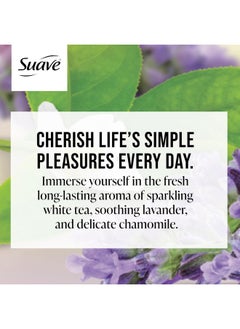 Suave Suave Moisturizing Body Wash Women, White Tea and Lavender with Vitamin E and Aloe Extracts, No Parabens, No Phthalates, 18 Oz (Pack of 6)  - Image 3
