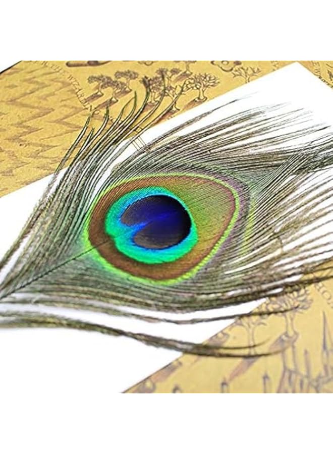 إيروريكس مجموعة أقلام ريش الطاووس: قلم ريشة لطيف بمقبض معدني، أقلام خط رائعة مع حامل طرف، قلم غمس لتدوين اليوميات، هدية، ديكور مكتب - Image 4