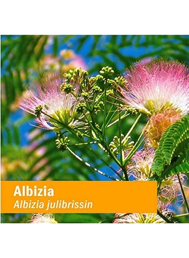 Herb Pharm Albizia Liquid Extract for Nervous System Support, 1 Fl Oz - Image 5