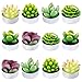 Swpeet Swpeet 12Pcs Decorative Succulent Cactus Tealight Candles Kit, Cute Smokeless Succulent Plants Perfect for Candles - Image 2