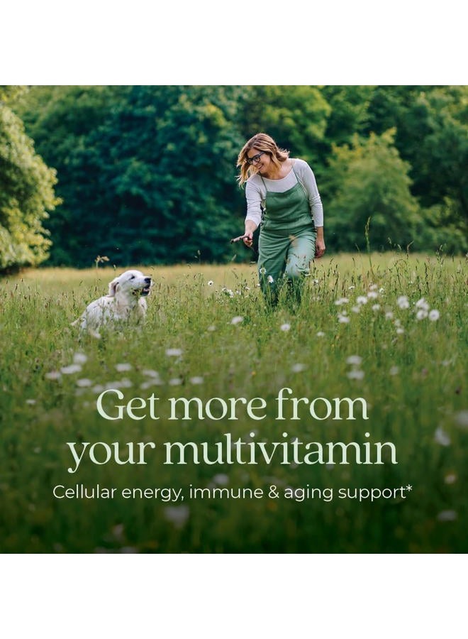 New Chapter Women's Multivitamin 40 plus for Energy, Healthy Aging + Immune Support with 20+ Nutrients -- Every Woman's One Daily 40+, Gentle on the Stomach, 48 Count - Image 2