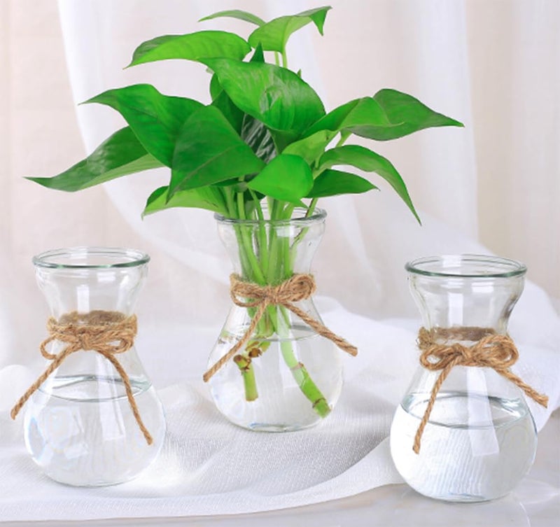 EWEIGEER Three Hydroponic Hyacinth Glass Vases,Home Decoration vase,DIY Interest Plant Cultivation Flower Bottles(Clear) - Image 1