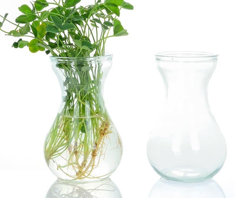 EWEIGEER Three Hydroponic Hyacinth Glass Vases,Home Decoration vase,DIY Interest Plant Cultivation Flower Bottles(Clear) - Image 4