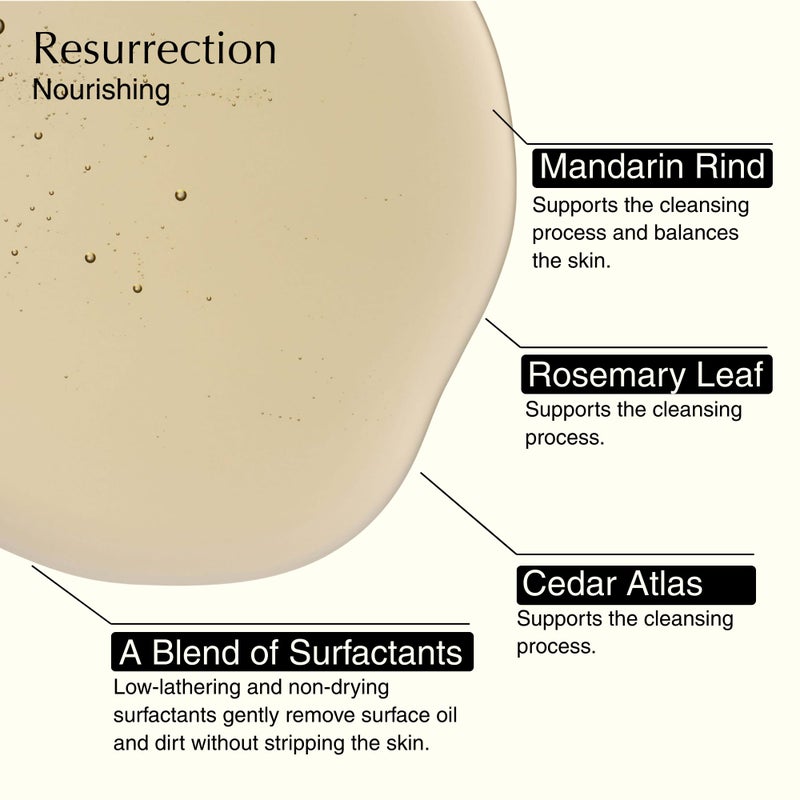 Aesop Resurrection & Reverence Aromatique Hand Wash Set â€“ Nourishing Hand Wash & Gentle Exfoliating Hand Soap Duo | Botanical Cleansers Made with Hydrating Essential Oil Blend | 16.9 oz Each (2 Pack) - Image 4