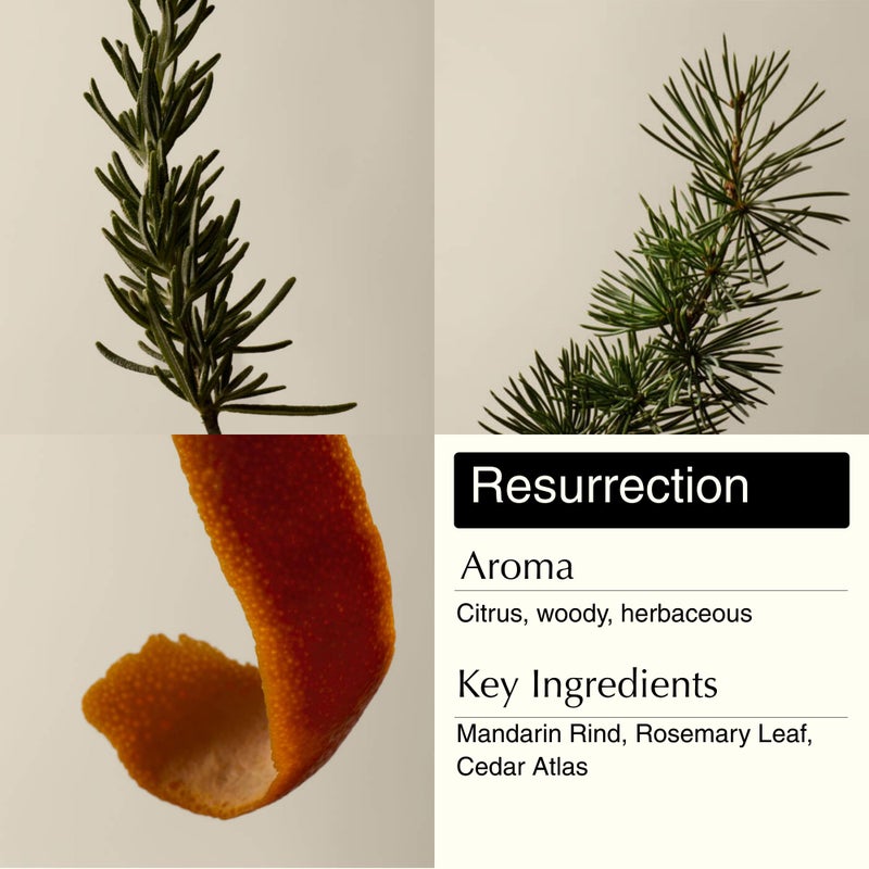 Aesop Resurrection & Reverence Aromatique Hand Wash Set â€“ Nourishing Hand Wash & Gentle Exfoliating Hand Soap Duo | Botanical Cleansers Made with Hydrating Essential Oil Blend | 16.9 oz Each (2 Pack) - Image 3