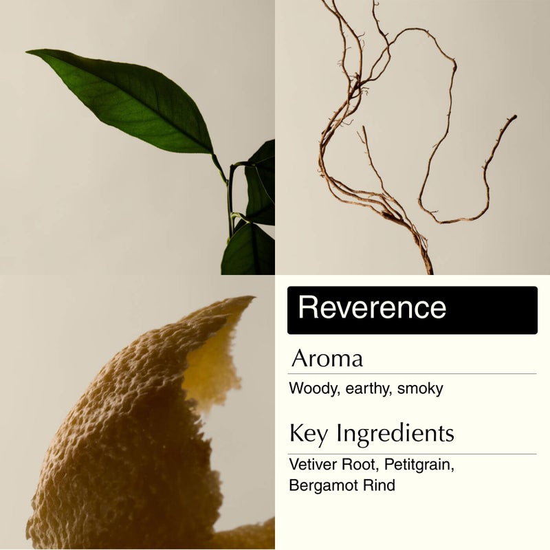 Aesop Resurrection & Reverence Aromatique Hand Wash Set â€“ Nourishing Hand Wash & Gentle Exfoliating Hand Soap Duo | Botanical Cleansers Made with Hydrating Essential Oil Blend | 16.9 oz Each (2 Pack) - Image 5