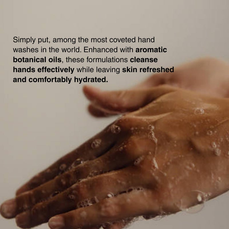 Aesop Resurrection & Reverence Aromatique Hand Wash Set â€“ Nourishing Hand Wash & Gentle Exfoliating Hand Soap Duo | Botanical Cleansers Made with Hydrating Essential Oil Blend | 16.9 oz Each (2 Pack) - Image 2