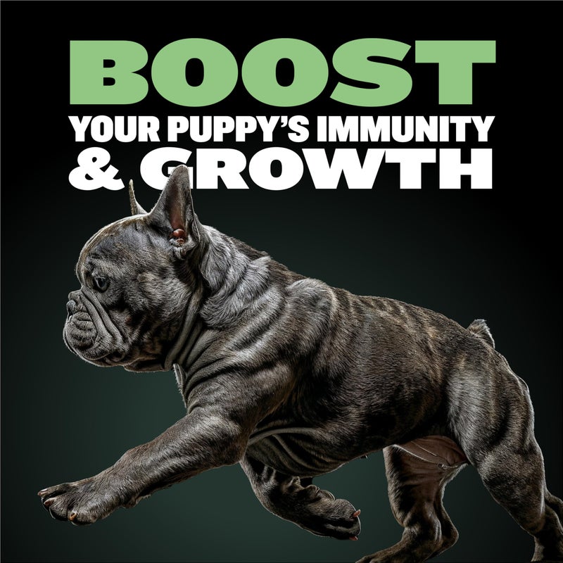 Bully Max Puppy Food 24/14 High Protein & Growth Formula - Dry Dog Food with Lamb and Rice for Small Dogs and Large Breed Puppies - Natural, Slow-Cooked, Sensitive Stomach Pet Food, 5-Pound Bag - Image 3