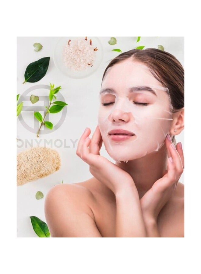 TonyMoly Master Lab Mask Sheet Snail Mucin 1unit - Image 3