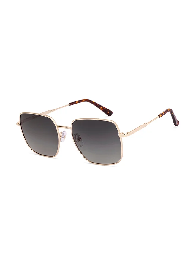 John Jacobs Grey Gold Full Rim Square John Jacobs JJ Tints JJ S70010-C2 Sunglasses