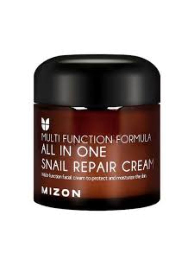 Mizon Multi Function Formula All in One Snail Repair Cream 75ml - Image 1