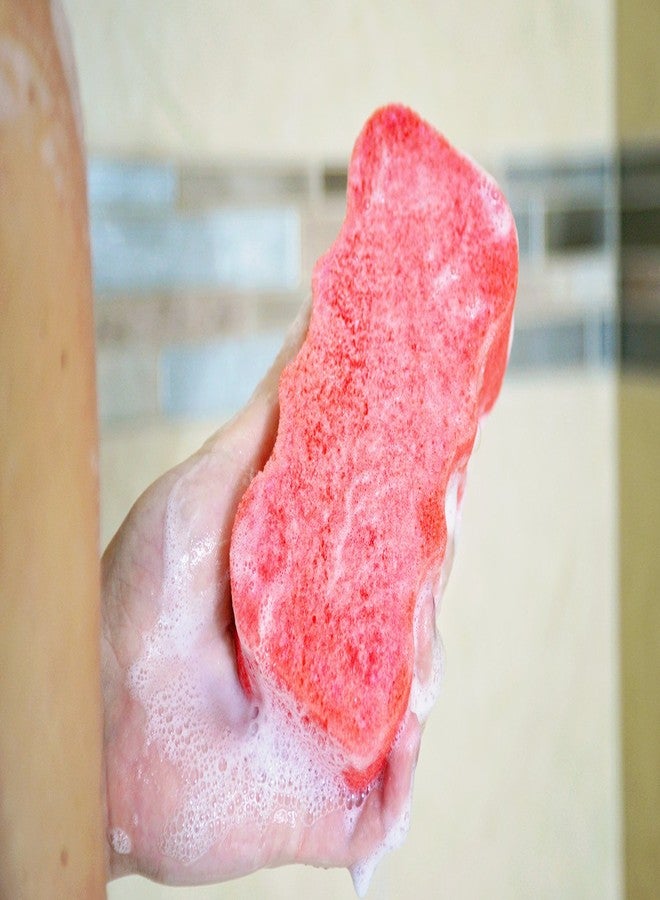 Spongeables Body Wash in a 20+ Wash Sponge, Pomegranate Punch, 3 Count - Image 5