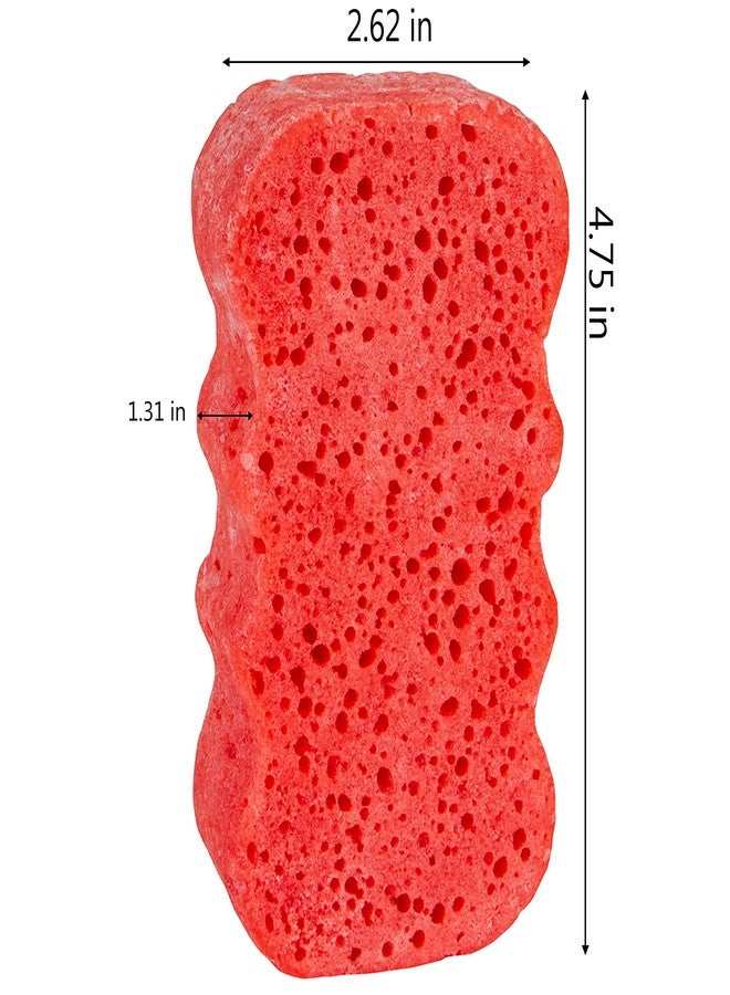 Spongeables Body Wash in a 20+ Wash Sponge, Pomegranate Punch, 3 Count - Image 3