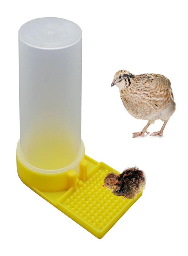 FOIBURELY Baby Bird Button Quail Yellow Water Feeder - Image 1