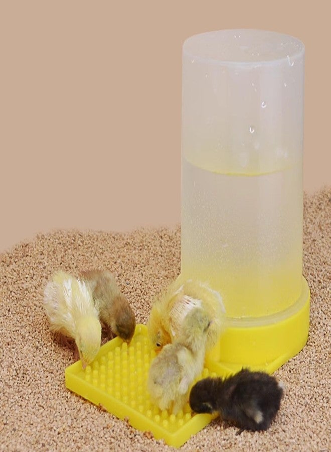 FOIBURELY Baby Bird Button Quail Yellow Water Feeder - Image 4