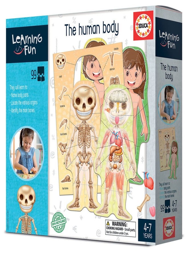 Educa The Human Body - Image 3