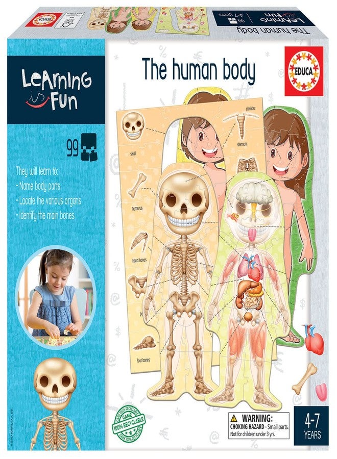 Educa The Human Body - Image 1