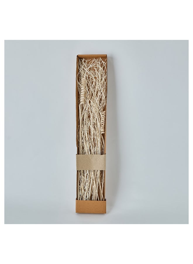 Home Box Medley Dried Grass Bunch in Paper Tray 1 x 60 x 1 cm  - Image 4