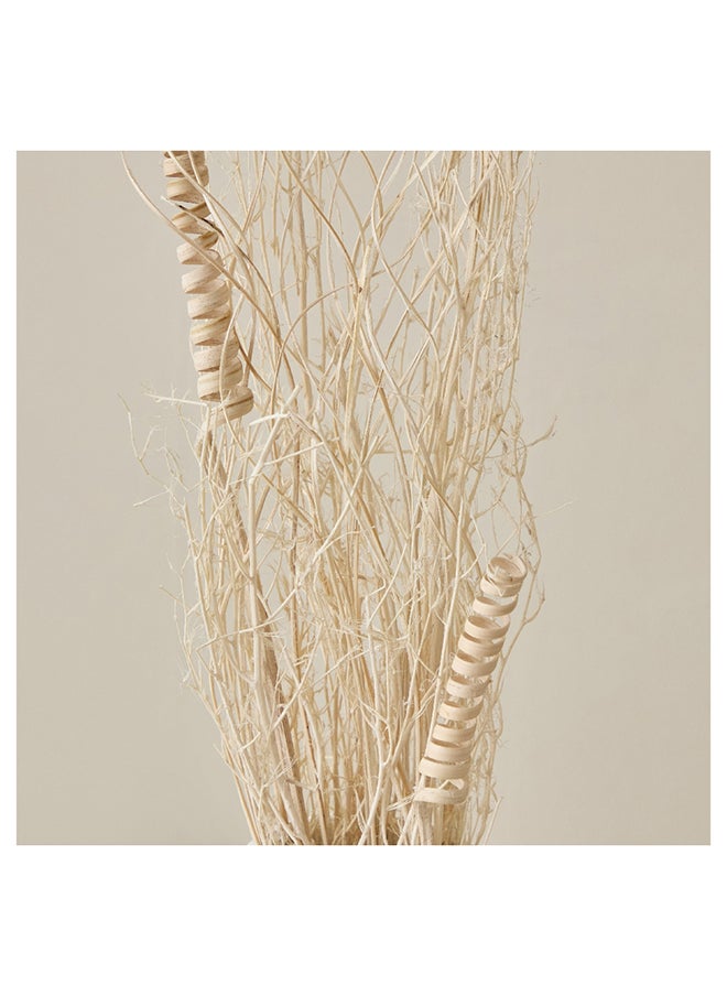 Home Box Medley Dried Grass Bunch in Paper Tray 1 x 60 x 1 cm  - Image 2