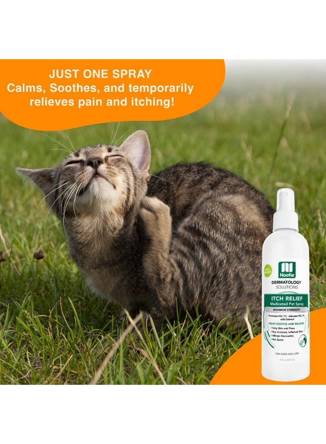 nootie Nootie Medicated Anti-itch Spray, Itch Relief & Skin Care for Dogs & Cats, Formulated for Veterinarians, Sold in over 10,000 Clinics & Stores Worldwide, 8 fl oz - Image 5