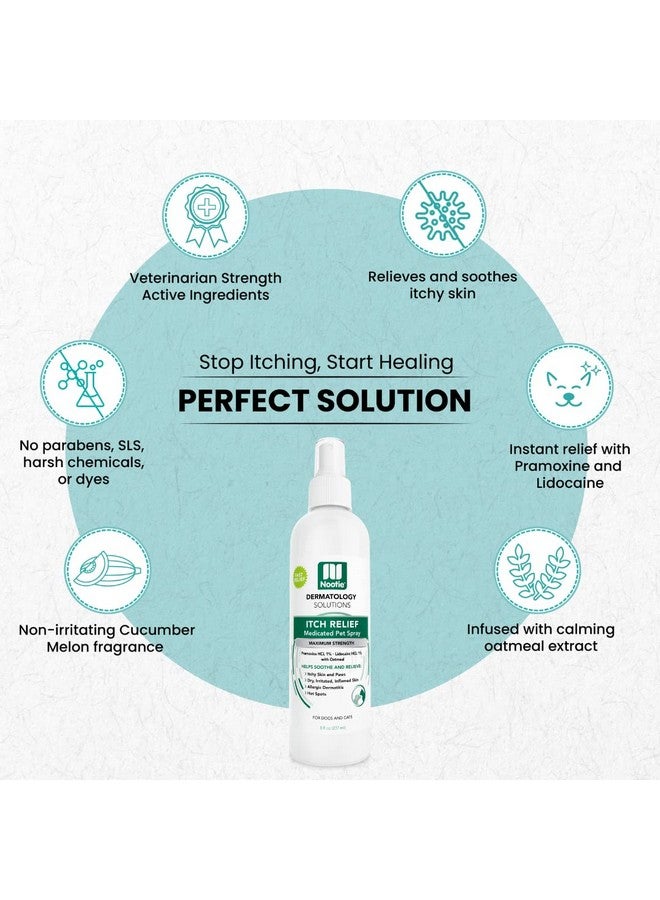 nootie Nootie Medicated Anti-itch Spray, Itch Relief & Skin Care for Dogs & Cats, Formulated for Veterinarians, Sold in over 10,000 Clinics & Stores Worldwide, 8 fl oz - Image 4