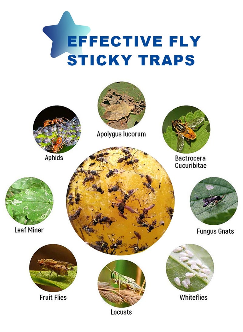 HomarKet 4PCS Fruit Fly Trap Ball, Sticky Fly Traps, Insect Ball Traps Mosquito Traps, Household Garden Sticky Ball Fly Catcher, Indoor Outdoor House Kitchen Plants Trees Flying Insects - Image 4