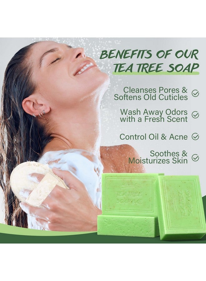 POP MODERN.C Tea Tree Soap Bar for Face & Body Wash Tea Tree Oil Bath Soaps for Athlete's Foot Body Odor Acne Deep Clean Men Women All Skin Types with Mesh Soap Bag 3x100G - Image 2