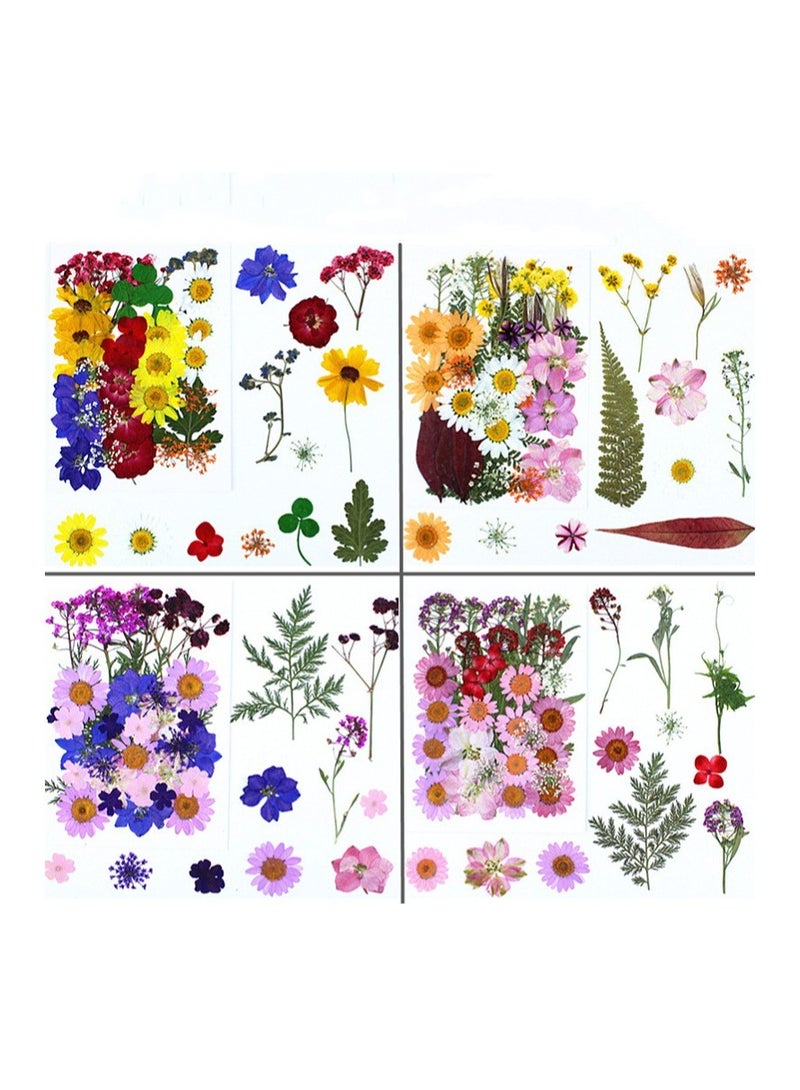 VIUAUAX 35 قطعة من الزهور المجففة المضغوطة المجففة للراتنج، مجموعة أعشاب طبيعية مجففة من الزهور الحقيقية المضغوطة ذات الأوراق الجافة بكميات كبيرة لصناعة فنون سكرابوكينغ للأعمال اليدوية اليدوية وقوالب المجوهرات المصنوعة من راتنجات الإيبوكسي والشموع وصناعة الصابون وديكور الأظافر - Image 2