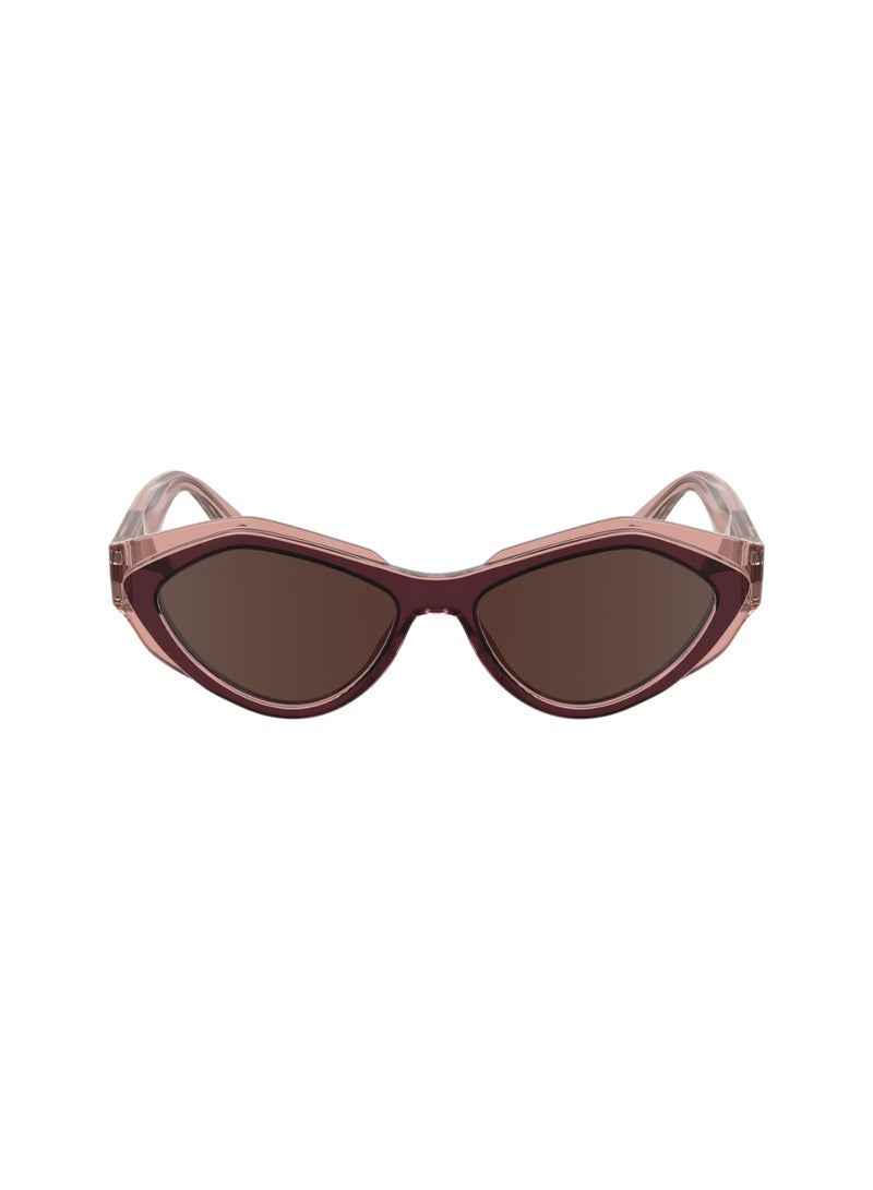 Calvin Klein Jeans نظارات شمسية كاملة الإطار بيولوجية حقن G820 من كالفن كلاين جينز CKJ24621S 5316 (605) بورغندي/بلوش - Image 2